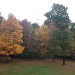 Profile Picture of Mary Liz Tygart (@maryliztygart) on Instagram