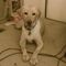 Profile Picture of Gordon Bancroft (@gordon.bancroft.7) on Facebook