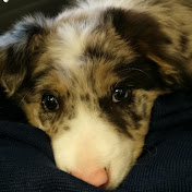 Profile Picture of Lulu Zhao (@luluzhao1029) on Youtube