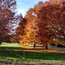 Profile Picture of Jessica Reynolds-Gibler (@jreynoldsgibler) on Pinterest