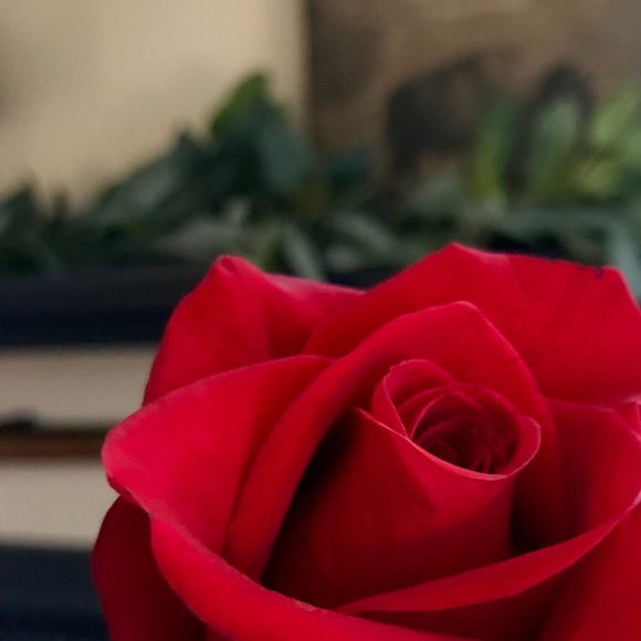 Profile Picture of Lisa Hunkin (@lchstyle) on Poshmark