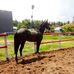 Profile Picture of Aim Stable Yunding (Aim) (@aimstable.yunding) on Facebook