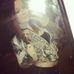 Profile Picture of Allison Marie Cloyd (@allison.cloyd.79) on Facebook