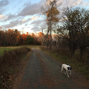 Andreas Engel - Youtube Profile Picture of Andreas Engel (@godogofmf) on Youtube