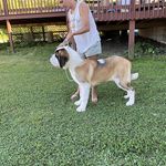 Profile Picture of Brandy Hummel (@brandyjh1982) on Instagram