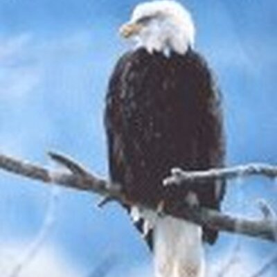 Profile Picture of Mariana Moore (@Marianaau35) on Twitter