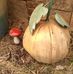 Profile Picture of Mark Massingill (@mark.massingill.39) on Facebook