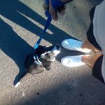 Profile Picture of jeremy ely melgar alarcon (@jeremyelymelgar) on Instagram