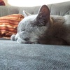 Profile Picture of Charlotte Hase (@@valli2.6) on Tiktok
