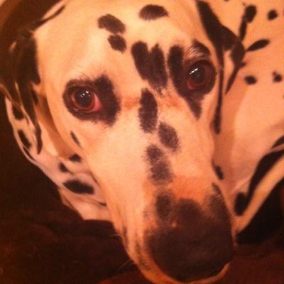 Profile Picture of Robert Mumby (@robert_mumby) on Twitter