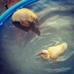 Profile Picture of Wilber&Wayne (@wilberandwayne) on Instagram
