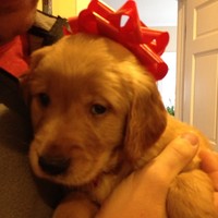 Profile Picture of Avery Denny (@avery-denny-1) on Quora