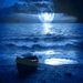 Profile Picture of Stephen Bright (@lifevantage4u) on Pinterest
