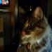 Profile Picture of Kim Hoyt (@kim.hoyt.31) on Facebook
