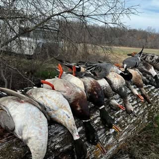 Profile Picture of Austin crittendon (@crittendon.austin) on Instagram