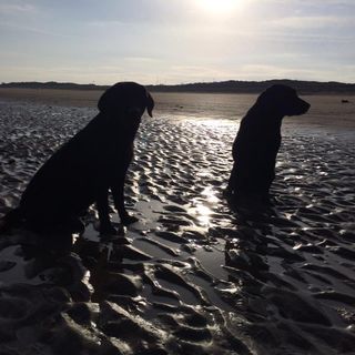 Profile Picture of James Beeden (@james.beeden.5) on Facebook