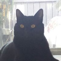 Profile Picture of Jeremy Burris (@jeremyburris199) on Pinterest