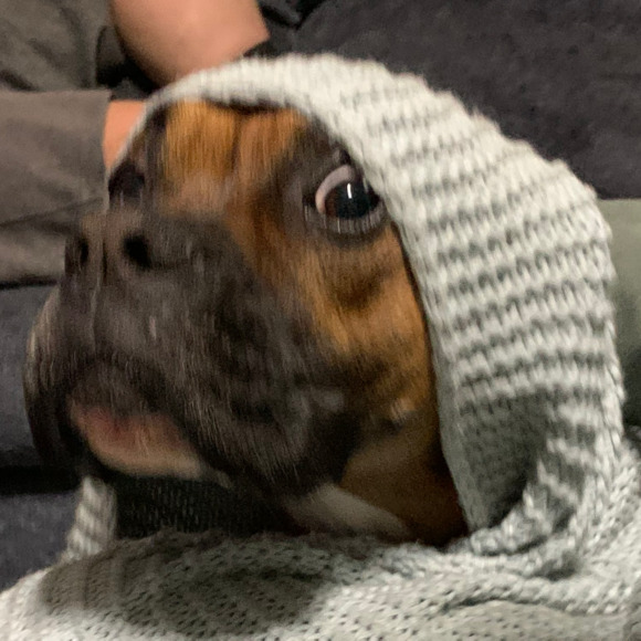 Profile Picture of Braden Arnold (@braden18a) on Poshmark