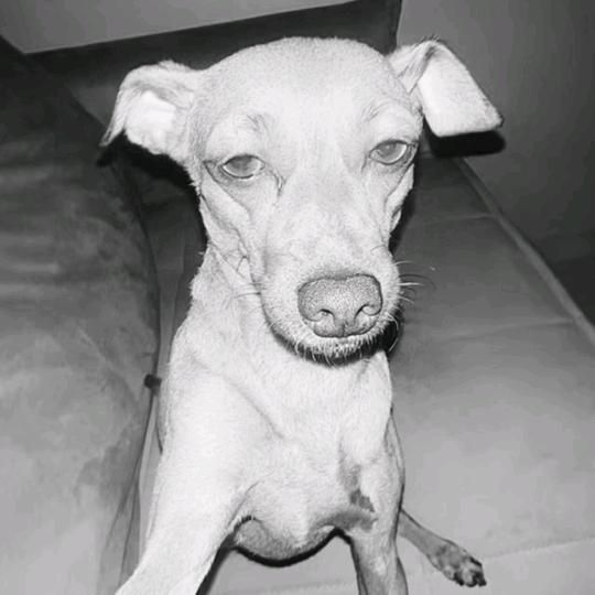 Profile Picture of CassandraYoung7Y (@cassandrayoung7y) on Tiktok