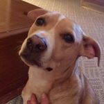 Profile Picture of nancystellato (@nancystellato) on Instagram