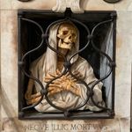 Profile Picture of Alexia Novella (@lexinovella) on Instagram