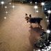 Profile Picture of Sharon Torrence (@sharon.torrence.750) on Facebook