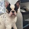 Profile Picture of Apple User283226469 (@@tonnilarsen76) on Tiktok