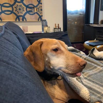 Profile Picture of Matt Krist (@MattKrist) on Twitter