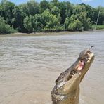 Profile Picture of Andrew Snedden (@andrew.snedden.92) on Facebook