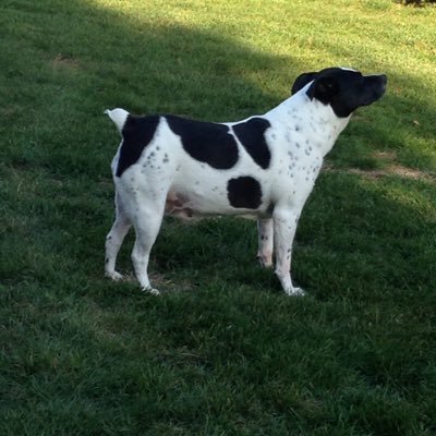 Profile Picture of Kevin (@Kevin_Snavely5) on Twitter