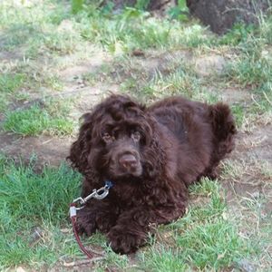 Profile Picture of Tammy Buxton Forrest (@tammyf195941) on Myspace