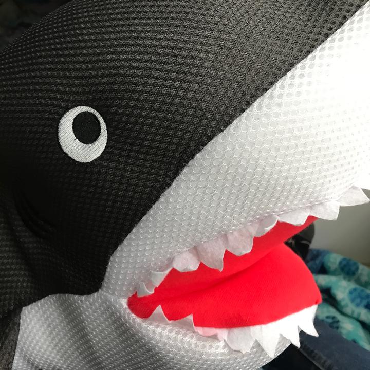 Profile Picture of Gerald (@gerald_the_shark) on Tiktok