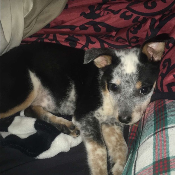 Profile Picture of Haylee Allen (@hayleeallen382) on Poshmark