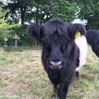 Profile Picture of Mark Leddy (@leddmeister) on Twitter