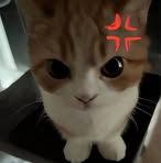 James Yanggo - Facebook Profile Picture of James Yanggo (@james.yanggo.2024) on Facebook