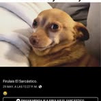 Profile Picture of Marky Ramone (@Marky-Ramone) on Facebook