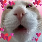 Profile Picture of Ralph Chavez (@ralph.chavez.395669) on Facebook