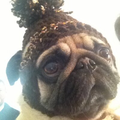 Profile Picture of Kevin Craggs (@craggs48) on Twitter