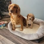 Profile Picture of Calum Grant (@calum.grant.35) on Facebook