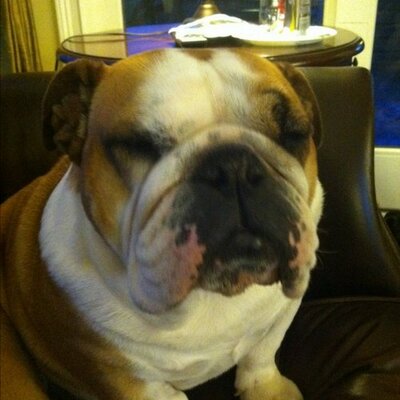 Profile Picture of Jeff Corr (@JeffJcorraini) on Twitter