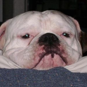 Profile Picture of Jennifer Vandevender (@jaylynn083179) on Myspace