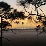 Profile Picture of Chris Mauser (@mauserchris) on Instagram