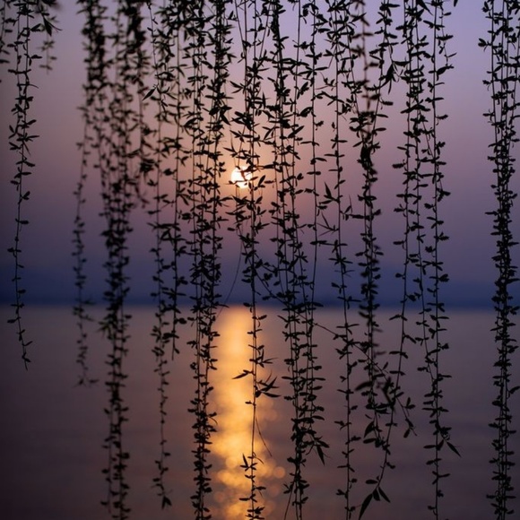 Profile Picture of Braelyn Birdsill (@bbirdsill2021) on Poshmark