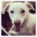 Profile Picture of Alicia Keller (@eyeslikejewels) on Pinterest