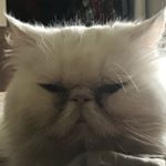 Profile Picture of Alex Guthrie (@alextheguthrie_) on Instagram