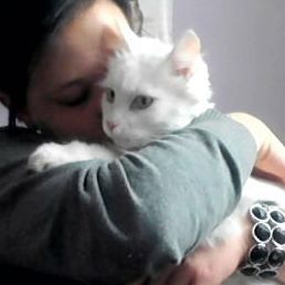 Profile Picture of Williwernerherbert Plöchl (@williwernerherbert.plochl) on Facebook