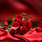 Profile Picture of Nancy Panelli (@nancy.panelli.39) on Facebook