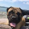 Profile Picture of billandterritrapp (@billandterritrapp) on Tiktok