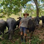 Profile Picture of Het boerenleven samen met de natuur in Costa rica (@boerderij_in_costa_rica) on Instagram
