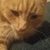 Profile Picture of patrickfitzsimmon (@patrickfitzsimmon) on Tiktok